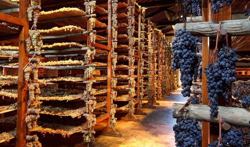 Vinícola Avignonesi na Toscana Vinícola Avignonesi na Toscana
