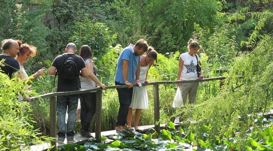 Visitantes no Orto Botânico di Lucca Visitantes no Orto Botânico di Lucca