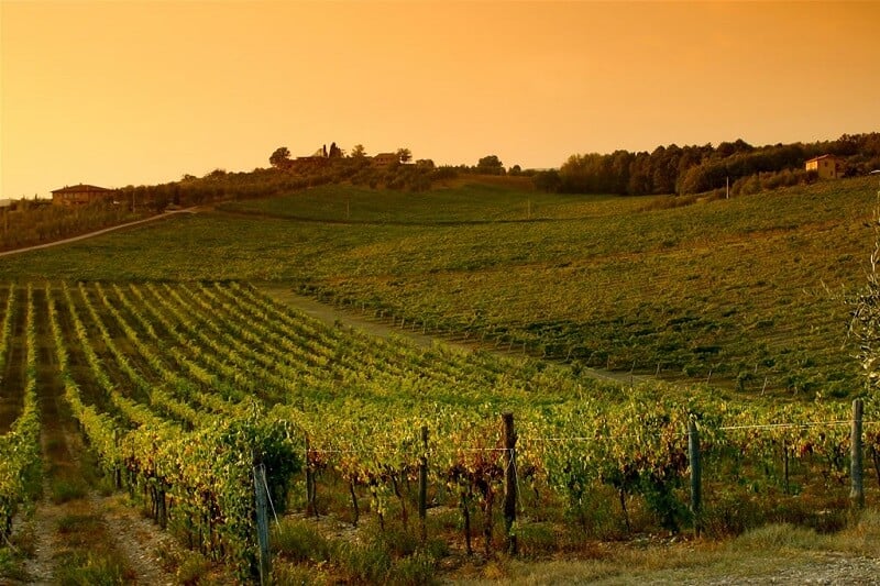 Vinícola em Chianti Vinícola em Chianti
