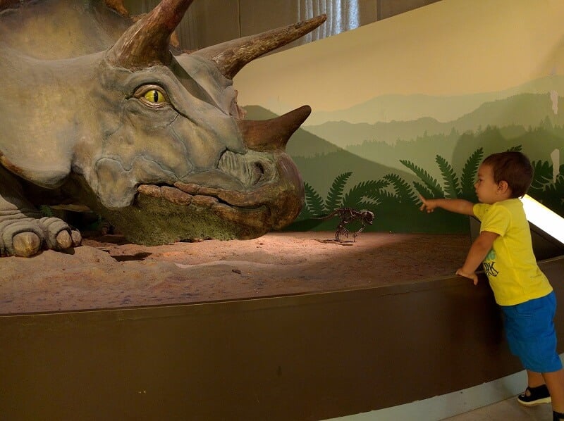 Criança no Museu Cívico de História Natural de Milão Criança no Museu Cívico de História Natural de Milão